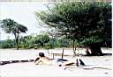 58 - Alter do Chao Chris a l affut visite des iles.jpg